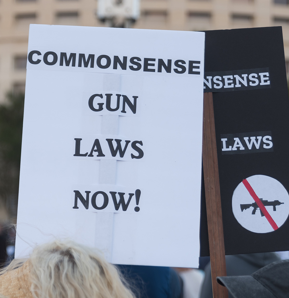 Commonsense Gun Laws